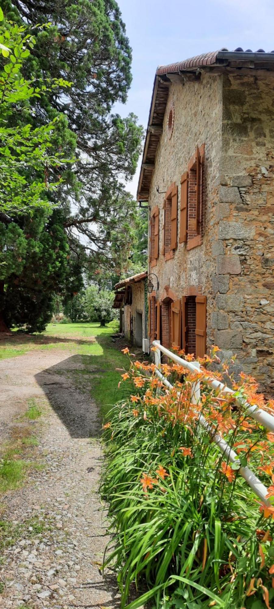 Maison Des Sequoias - Parc 1 Hectare- Veyrac Exterior photo
